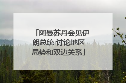 阿曼苏丹会见伊朗总统 讨论地区局势和双边关系