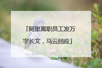 阿里离职员工发万字长文，马云回应