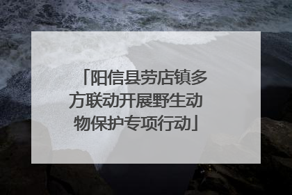 阳信县劳店镇多方联动开展野生动物保护专项行动