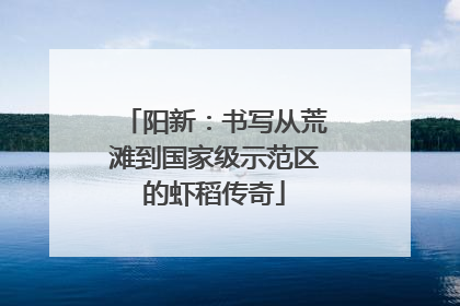 阳新：书写从荒滩到国家级示范区的虾稻传奇