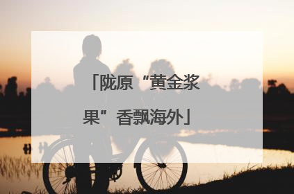 陇原“黄金浆果”香飘海外