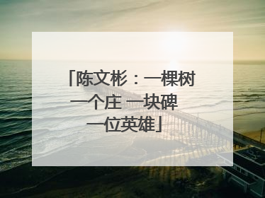 陈文彬：一棵树 一个庄 一块碑 一位英雄