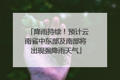 降雨持续！预计云南省中东部及南部将出现强降雨天气