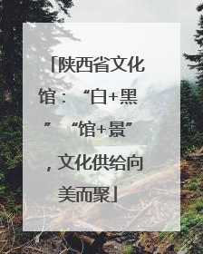 陕西省文化馆：“白+黑”“馆+景”，文化供给向美而聚