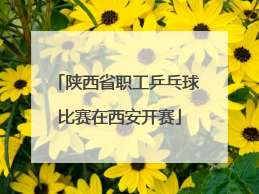 陕西省职工乒乓球比赛在西安开赛