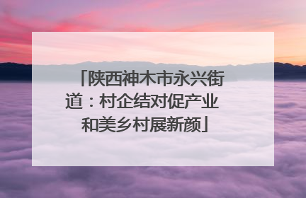 陕西神木市永兴街道：村企结对促产业 和美乡村展新颜