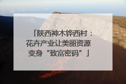 陕西神木铧西村：花卉产业让美丽资源变身“致富密码”