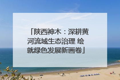 陕西神木：深耕黄河流域生态治理 绘就绿色发展新画卷