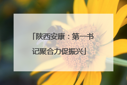 陕西安康：第一书记聚合力促振兴