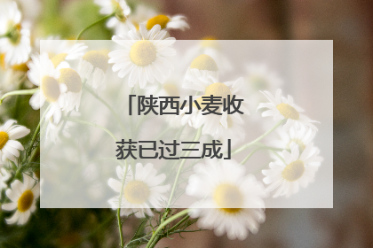 陕西小麦收获已过三成