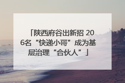 陕西府谷出新招 206名“快递小哥”成为基层治理“合伙人”