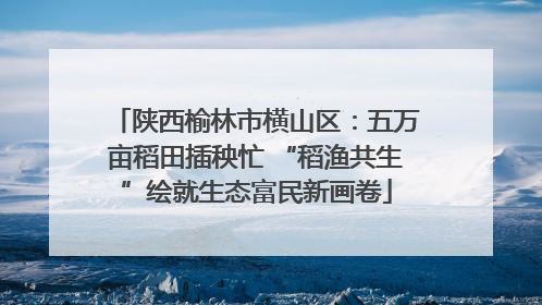 陕西榆林市横山区：五万亩稻田插秧忙 “稻渔共生”绘就生态富民新画卷