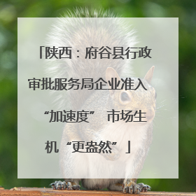 陕西：府谷县行政审批服务局企业准入“加速度” 市场生机“更盎然”