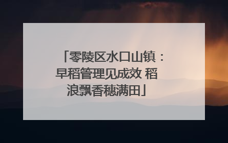 零陵区水口山镇：早稻管理见成效 稻浪飘香穗满田