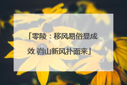 零陵：移风易俗显成效 岿山新风扑面来