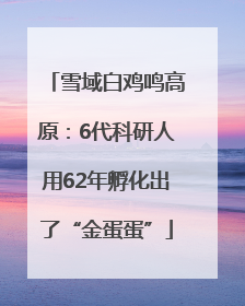 雪域白鸡鸣高原：6代科研人用62年孵化出了“金蛋蛋”
