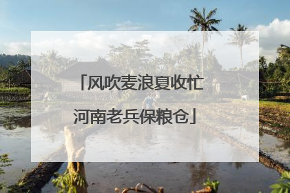 风吹麦浪夏收忙 河南老兵保粮仓