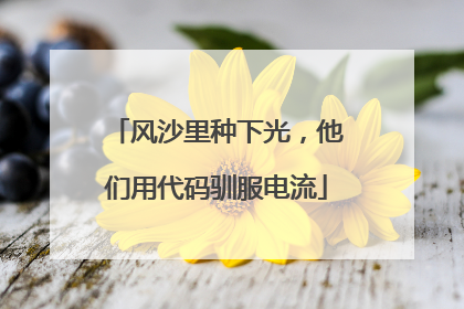 风沙里种下光，他们用代码驯服电流