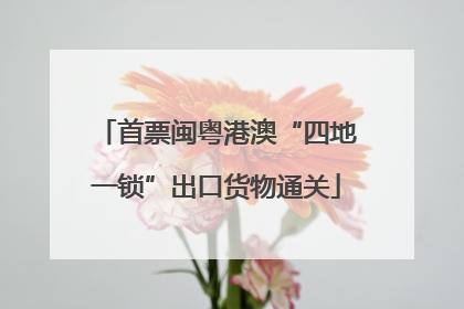 首票闽粤港澳“四地一锁”出口货物通关