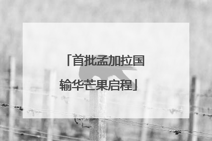 首批孟加拉国输华芒果启程
