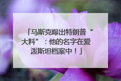 马斯克曝出特朗普“大料”：他的名字在爱泼斯坦档案中！