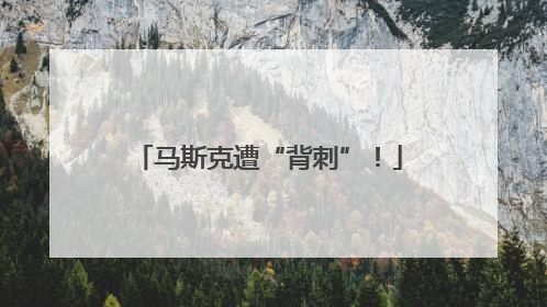 马斯克遭“背刺”！