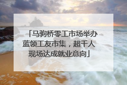 马驹桥零工市场举办蓝领工友市集，超千人现场达成就业意向