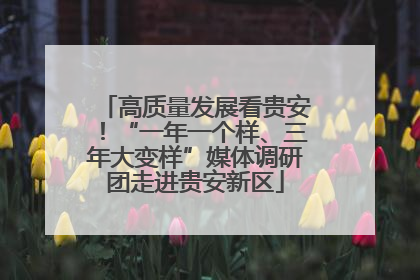 高质量发展看贵安！“一年一个样、三年大变样”媒体调研团走进贵安新区