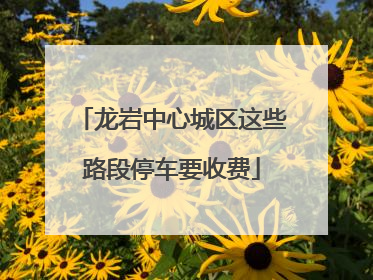 龙岩中心城区这些路段停车要收费