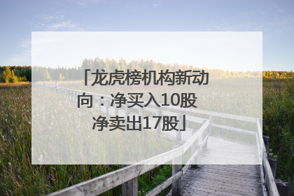 龙虎榜机构新动向：净买入10股 净卖出17股