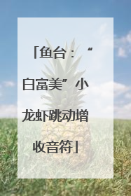 鱼台：“白富美”小龙虾跳动增收音符
