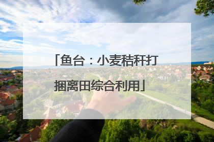 鱼台：小麦秸秆打捆离田综合利用