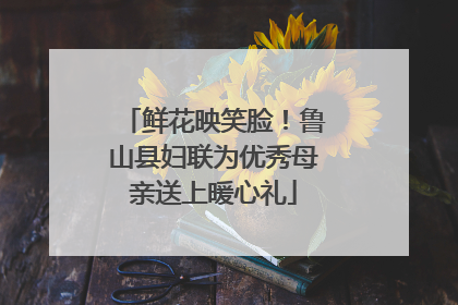 鲜花映笑脸！鲁山县妇联为优秀母亲送上暖心礼