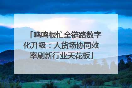 鸣鸣很忙全链路数字化升级：人货场协同效率刷新行业天花板