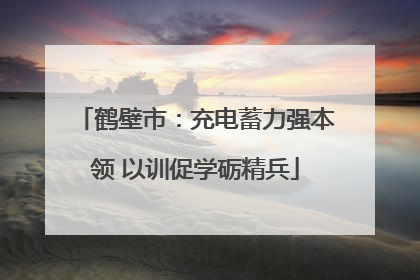 鹤壁市：充电蓄力强本领 以训促学砺精兵