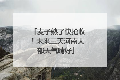 麦子熟了快抢收！未来三天河南大部天气晴好