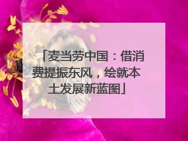 麦当劳中国：借消费提振东风，绘就本土发展新蓝图