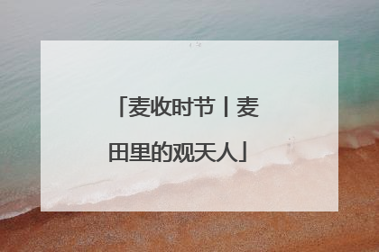 麦收时节丨麦田里的观天人