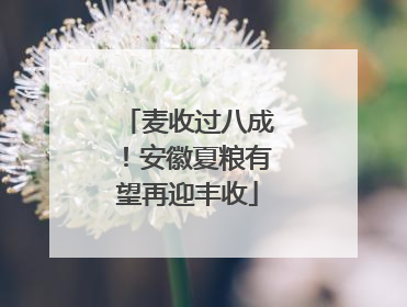 麦收过八成！安徽夏粮有望再迎丰收
