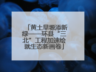 黄土旱塬添新绿——环县“三北”工程加速绘就生态新画卷