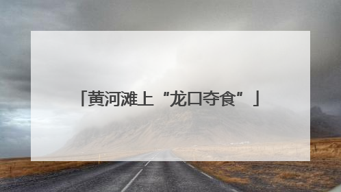 黄河滩上“龙口夺食”