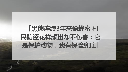 黑熊连续3年来偷蜂蜜 村民防盗花样频出却不伤害：它是保护动物，我有保险兜底