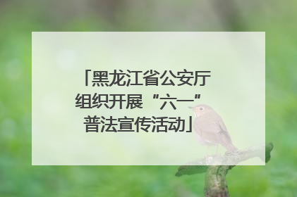 黑龙江省公安厅组织开展“六一”普法宣传活动