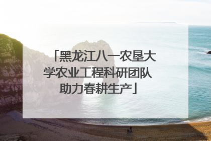 黑龙江八一农垦大学农业工程科研团队助力春耕生产