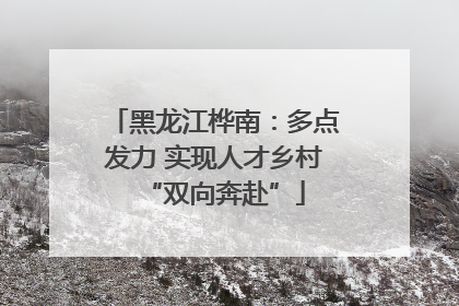 黑龙江桦南：多点发力 实现人才乡村“双向奔赴”