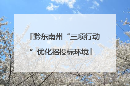 黔东南州“三项行动”优化招投标环境