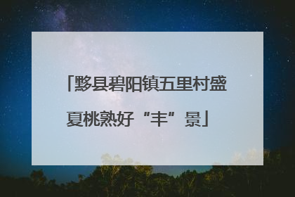 黟县碧阳镇五里村盛夏桃熟好“丰”景