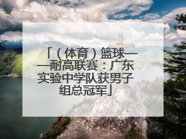 （体育）篮球——耐高联赛：广东实验中学队获男子组总冠军