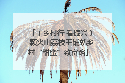 （乡村行·看振兴）一颗火山荔枝王铺就乡村“甜蜜”致富路