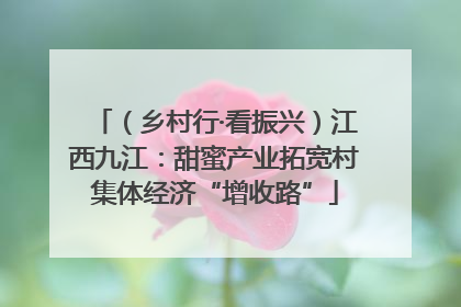 （乡村行·看振兴）江西九江：甜蜜产业拓宽村集体经济“增收路”